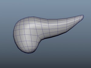 3d pancreas - low-poly 3D Модель