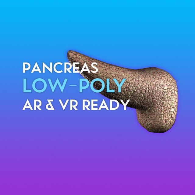 3d pancreas - low-poly 3D Модель .c4d .max .obj .3ds .fbx .stl .blend 