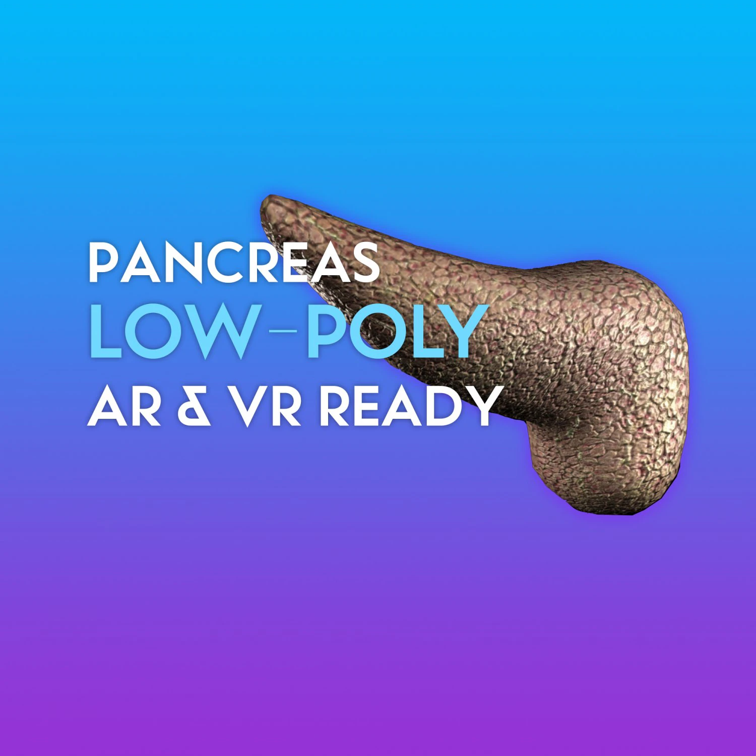 3d pancreas - low-poly 3D Model .c4d .max .obj .3ds .fbx .stl .blend 