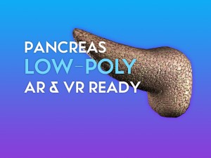 3d pancreas - low-poly 3D Model