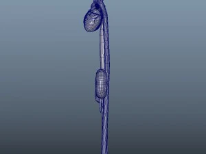 3d heart and kidneys - low-poly 3D Model