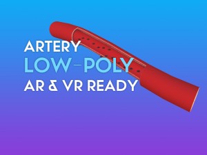 3d artery w blood cells - low poly 3D Model