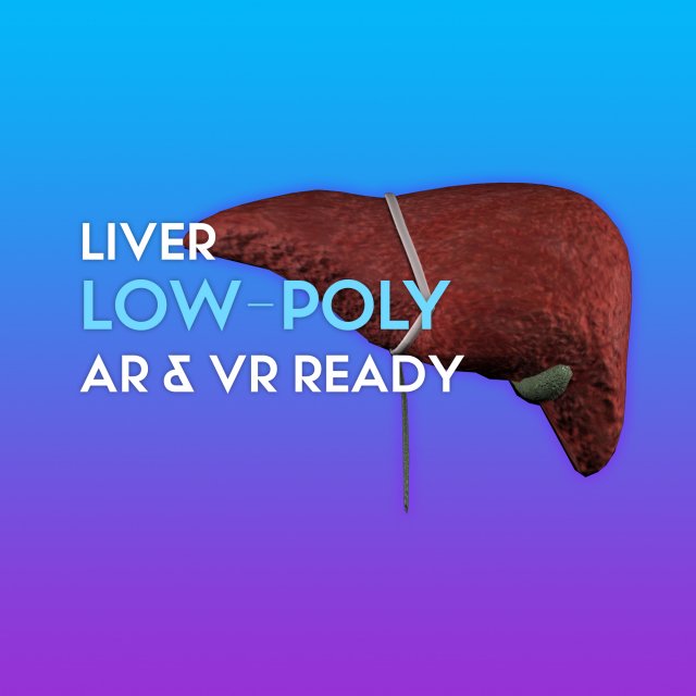3d liver w gallbladder - low-poly 3D Model .c4d .max .obj .3ds .fbx .stl .blend