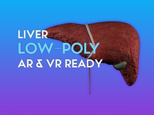 3d liver w gallbladder - low-poly 3D Model