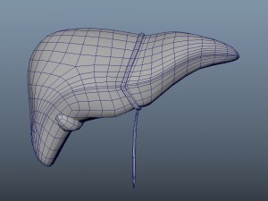 3d organ pack - low-poly 3D Model