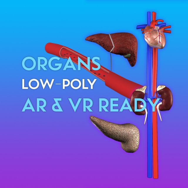3d organ pack - low-poly 3D Model .c4d .max .obj .3ds .fbx .stl .blend 