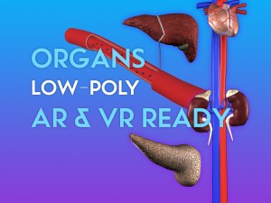 3d organ pack - low-poly 3D 모델