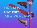 3d organ pack - low-poly 3D Модель