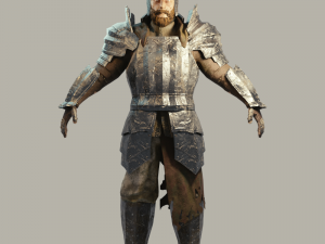 medieval fantasy knight Modelo 3D