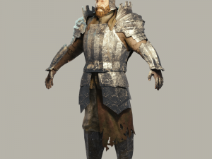 medieval fantasy knight Modelo 3D