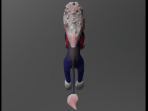 blue lion Modello 3D