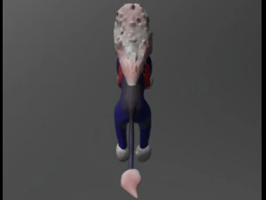 блакитний лев 3D Модель