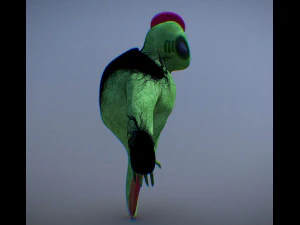 deniz yaratığı 3D Model