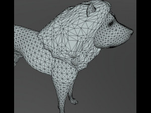 lion mesh 3D Model