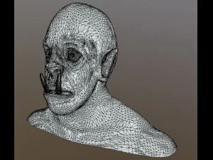 ork kafası 3D Model