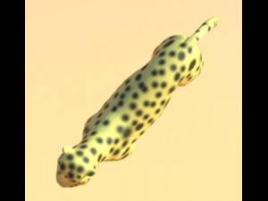 leopard - lion -pard 3D Модель