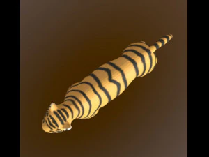 호랑이 유형 만화 3D 모델