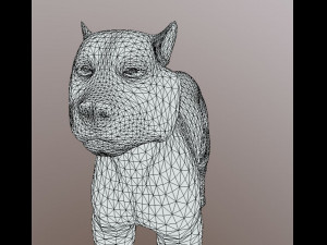 tiger type cartoon Model 3D