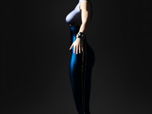 - li 3D Model