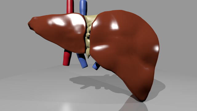 human liver pro 3D Модель .c4d .max .obj .3ds .fbx .stl .blend 