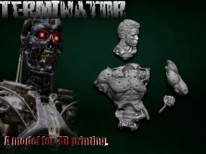 The Terminator 3D Print Model