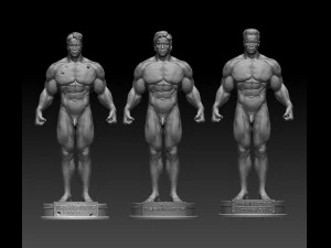 Terminator package of three models 3D Print Model