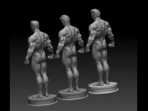 Terminator package of three models 3D Print Model
