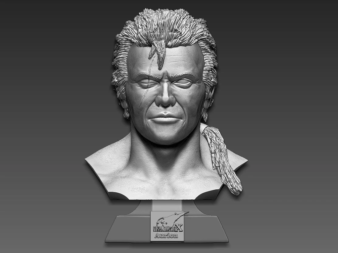 Final Fantasy X Aurion 3D Print Model .c4d .max .obj .3ds .fbx .stl .blend 