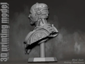 Robocop 3D Print Model