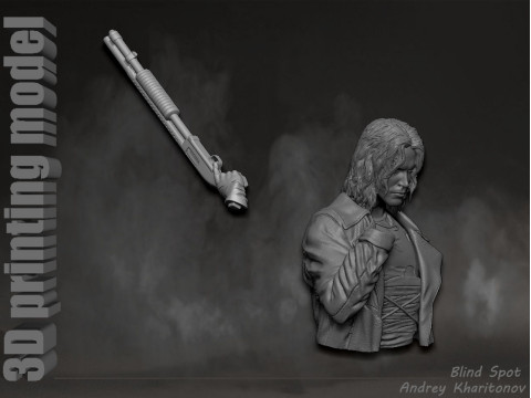 The Crow 3D Print Model