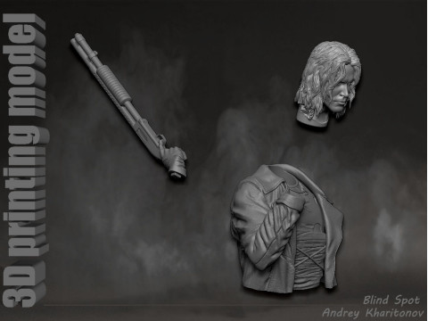 The Crow 3D Print Model