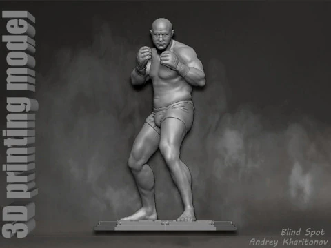Fedor Emelianenko Modelo de impresión 3D