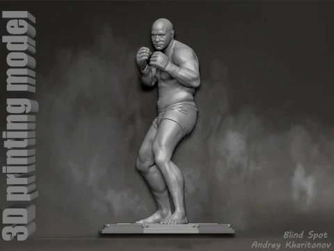 Fedor Emelianenko 3D Print Model