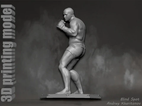 Fedor Emelianenko 3D Print Model
