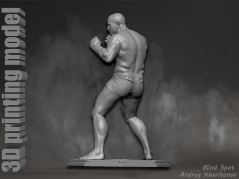 Fedor Emelianenko 3D Baskı Modeli