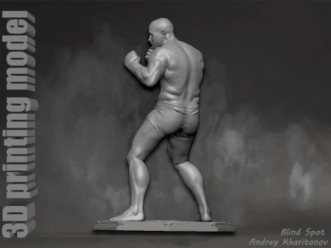 Fedor Emelianenko 3D Print Model