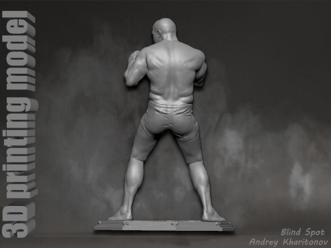 Fedor Emelianenko 3D Baskı Modeli