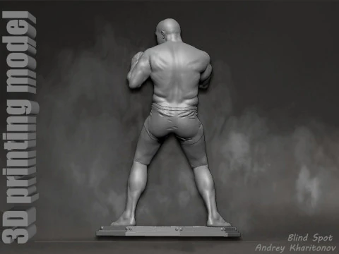 Fedor Emelianenko 3D Print Model