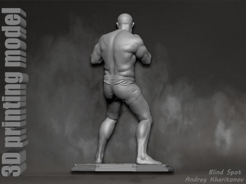 Fedor Emelianenko 3D Baskı Modeli