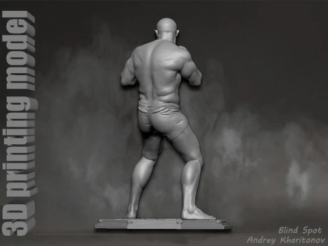 Fedor Emelianenko 3D Print Model