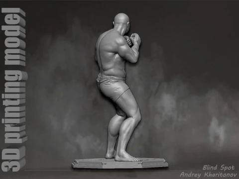 Fedor Emelianenko 3D Print Model