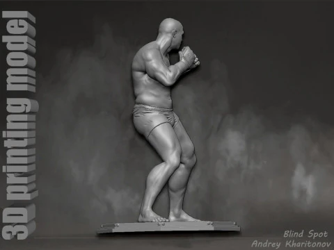 Fedor Emelianenko 3D Print Model