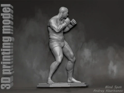 Fedor Emelianenko 3D Print Model