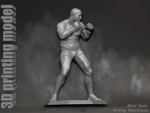 Fedor Emelianenko 3D Print Model