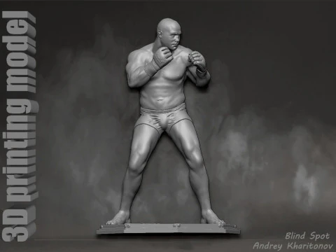 Fedor Emelianenko 3D Print Model