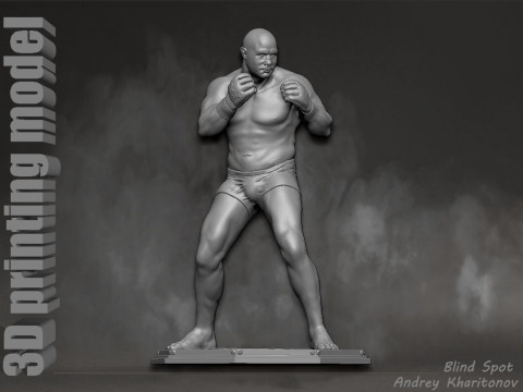 Fedor Emelianenko 3D Baskı Modeli