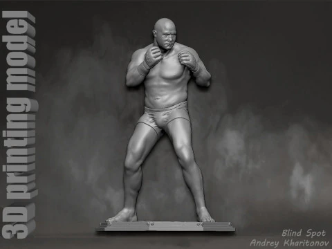 Fedor Emelianenko 3D Print Model