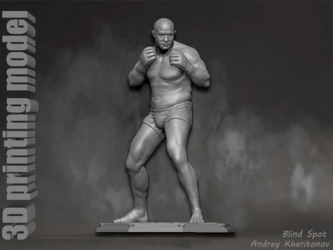 Fedor Emelianenko 3D Print Model
