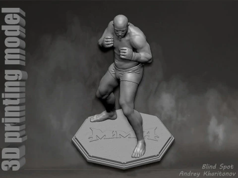 Fedor Emelianenko 3D Print Model