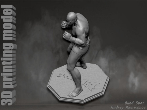 Fedor Emelianenko 3D Baskı Modeli